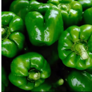 Green Capsicum seeds