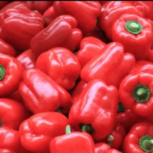 Red Capsicum Seeds