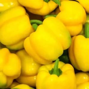 Yellow Capsicum Seeds