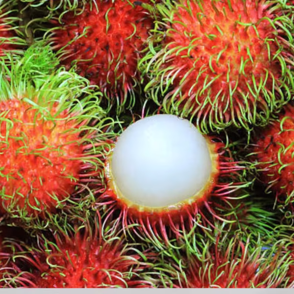 Rambutan Fruit